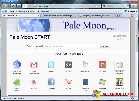 Snimak zaslona Pale Moon Windows XP