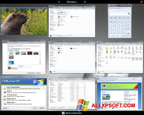 Snimak zaslona Dexpot Windows XP