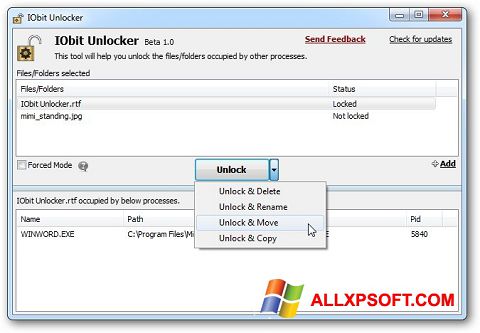 Snimak zaslona IObit Unlocker Windows XP