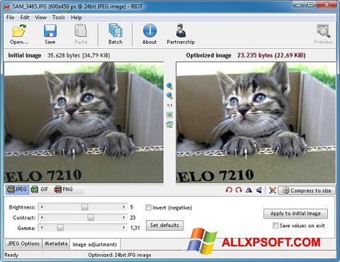 Snimak zaslona RIOT Windows XP